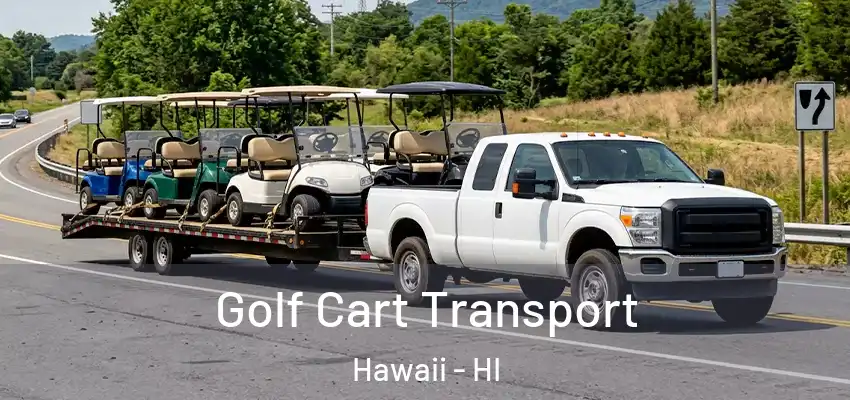  Golf Cart Transport Hawaii - HI